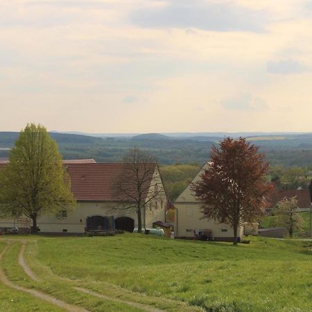 Ferienhof Wiesenblick Пирна Екстериор снимка