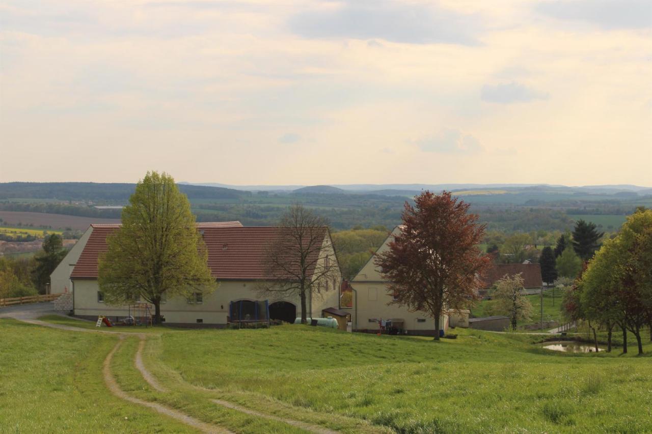 Ferienhof Wiesenblick Пирна Екстериор снимка